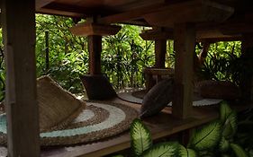 Roots Tree House